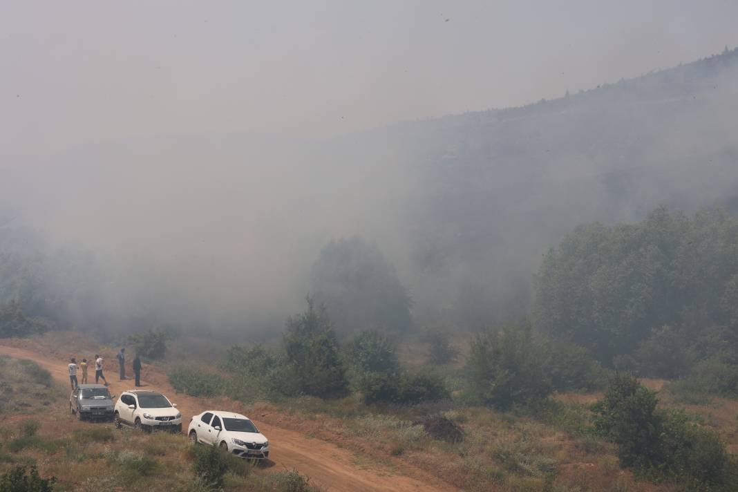 Elazığ'da orman yangını 46